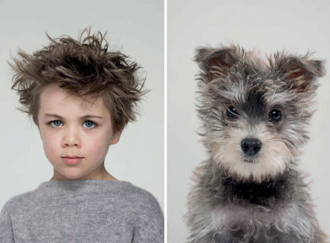ressemblance homme chien