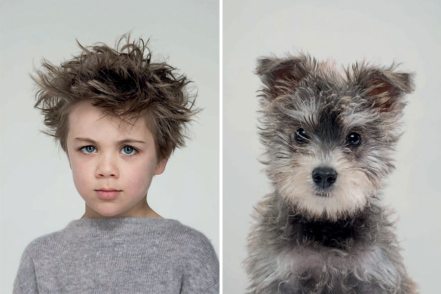10 preuves que les chiens sont l image de leur ma tre ou l inverse 
