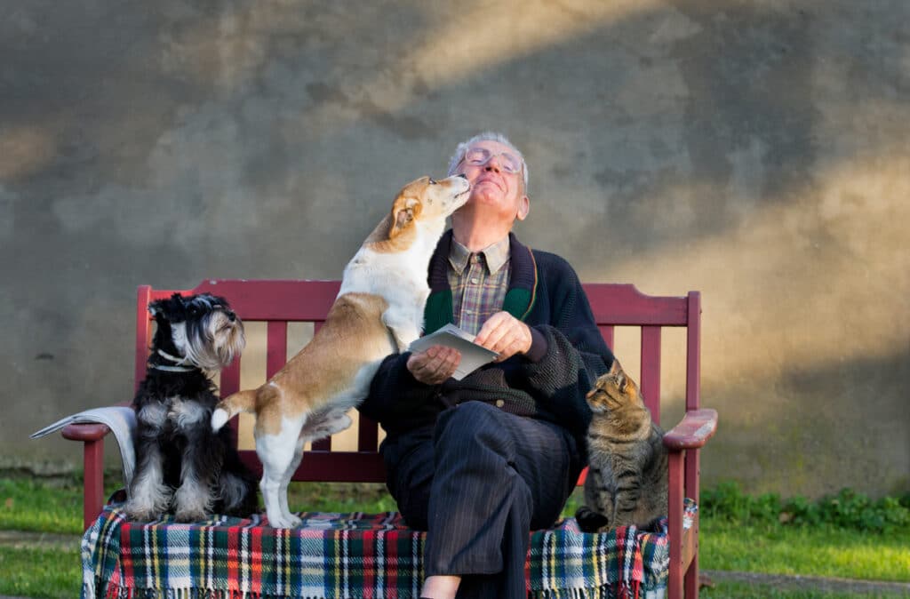 Personne âgée assise sur un banc avec ses animaux : 2 chiens et 1 chat.  