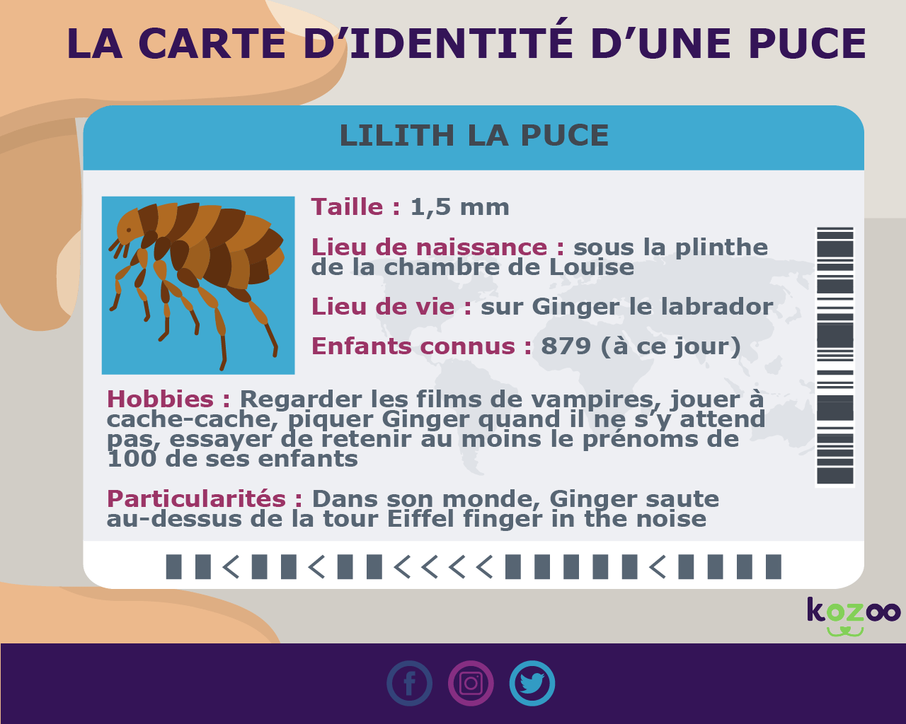 Puce et chien Le guide parfait pour vous en sortir facilement kozoo