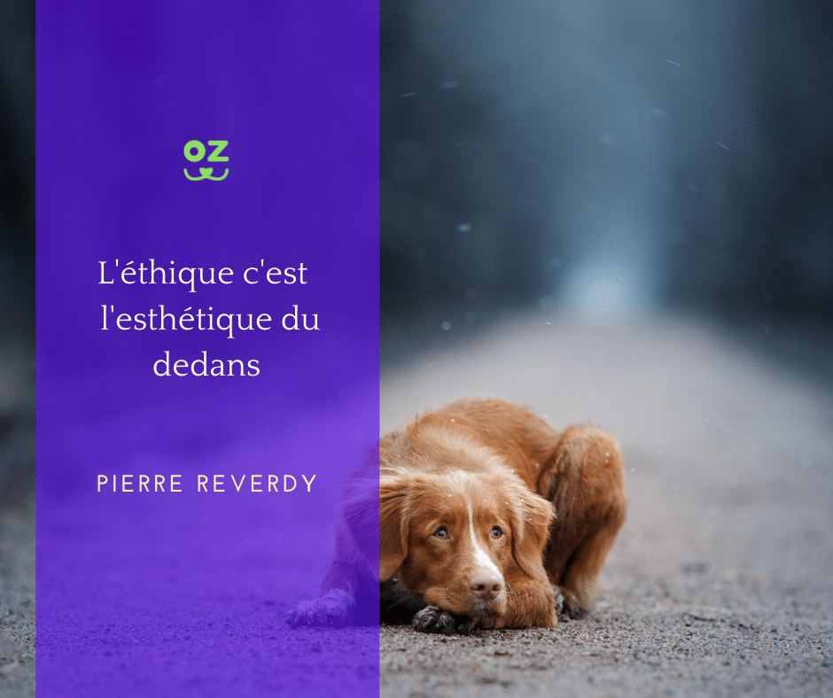 Kozoo Une Ethique Au Poil Kozoo Kozoo Une Ethique Au Poil Kozoo