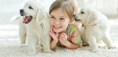 Petite fille allongée sur un tapis avec 2 chiots golden retriever