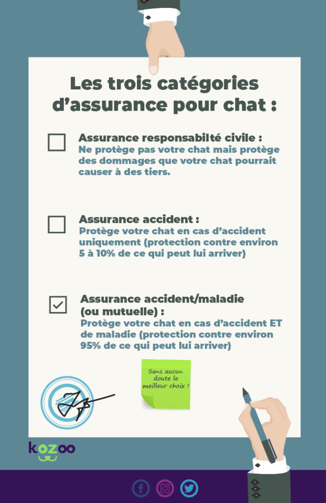 les 3 types d'assurances pour chat