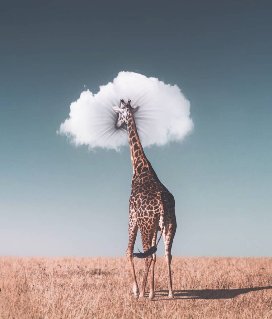 girafe nuage