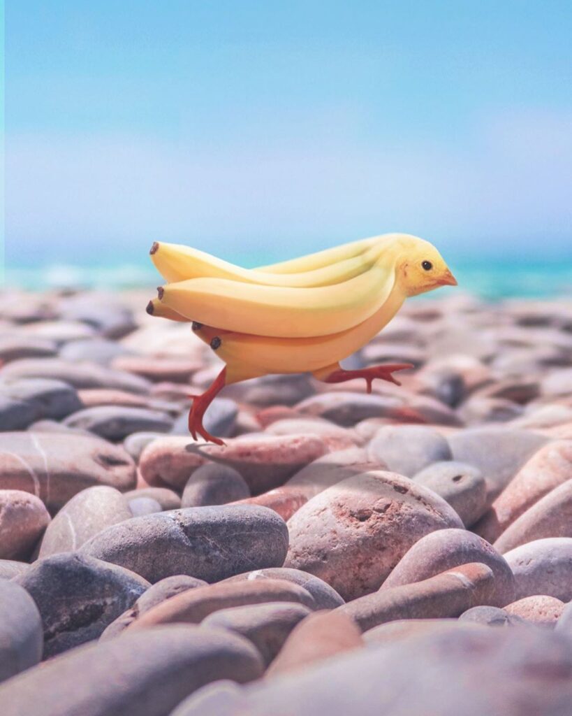 canari banane