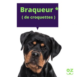 Rottweiller assurance