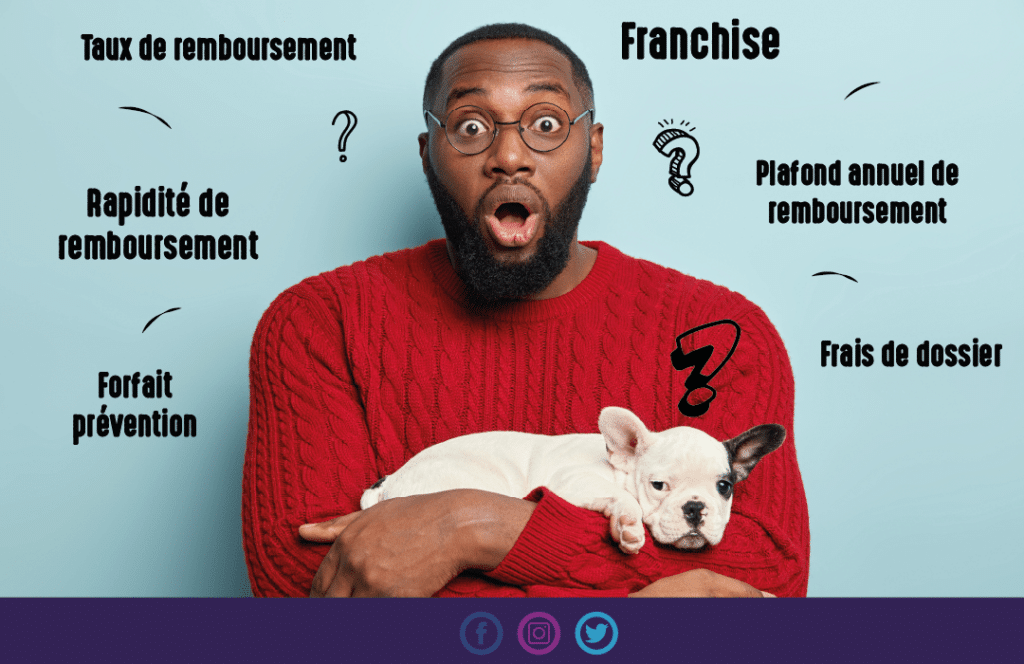 elements-comparaison-mutuelle-chien