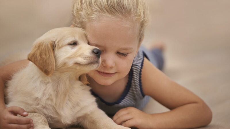 animaux aiment enfants