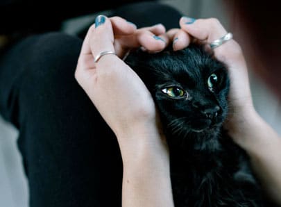 photo mise en avant un chat noir sa maitresse le caresse