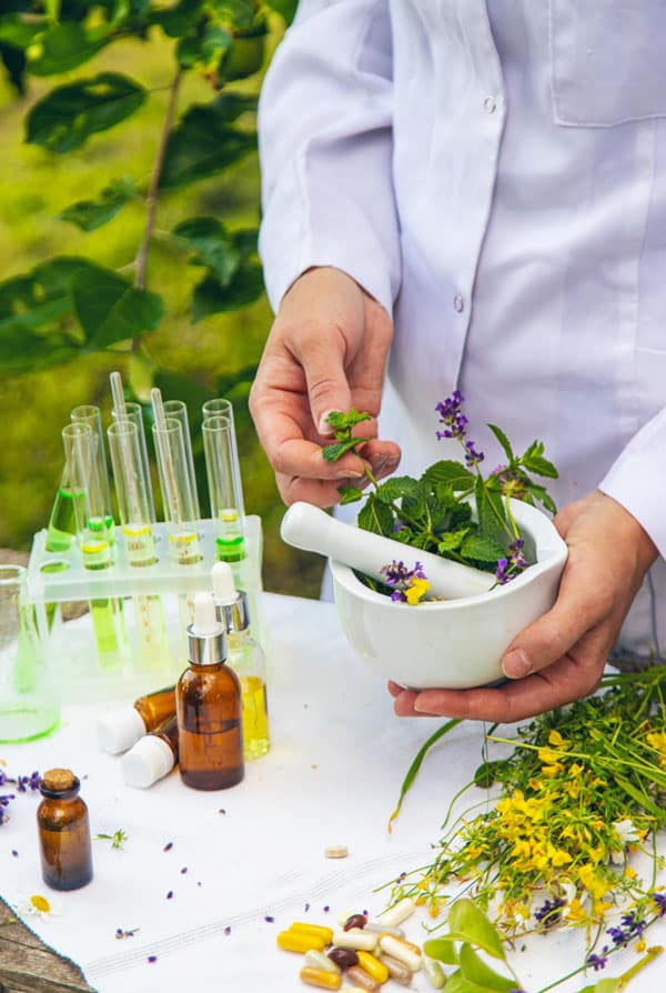 phytotherapie avec plante et gélule