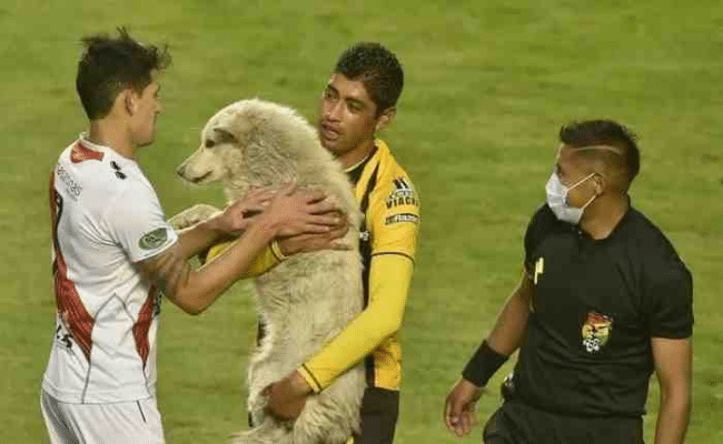 cachito bolivie football