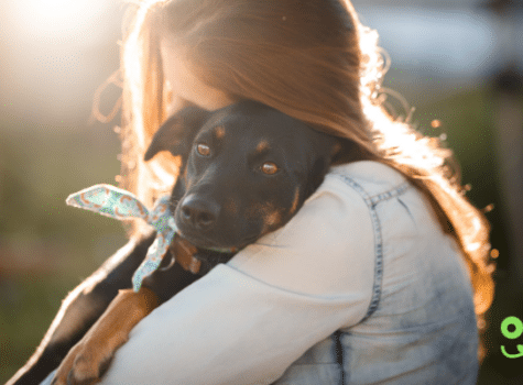 Une femme et un chien