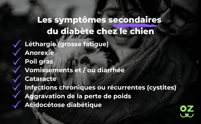 diabète chien symptômes secondaires