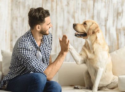 chien et son maitre main dans la patte