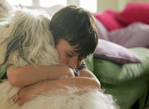 Un garçon et un chien se font un câlin