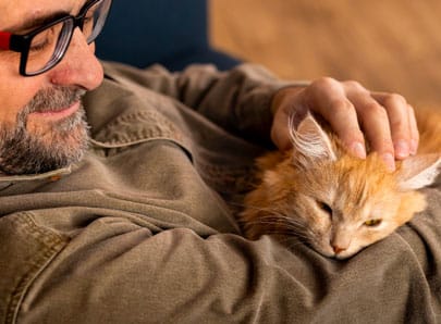 chat roux caresse avec son maitre