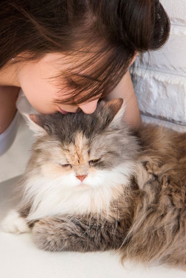 Propriétaire embrasse chat sur le front