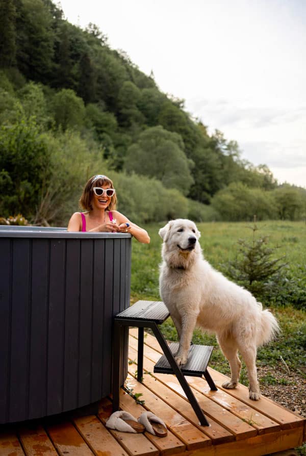 chien hébergement de vacances