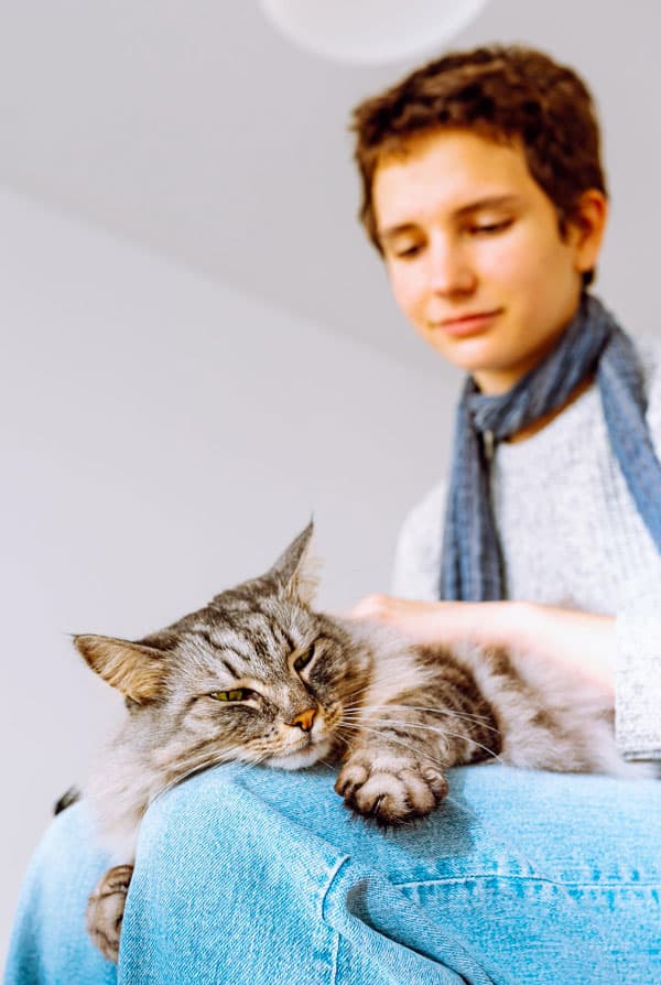 Chat sur les genoux de sa propriétaire