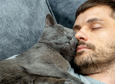 un chat gris endormi avec son propriétaire