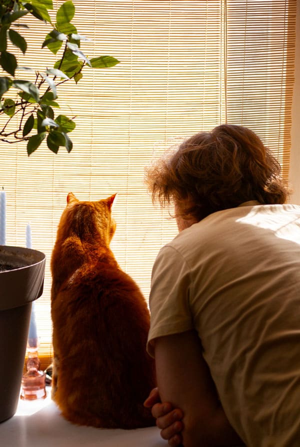 Un chat roux qui regarde par la fenêtre avec son propriétaire
