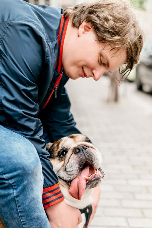 Chien brachycephale avec l'adoptant