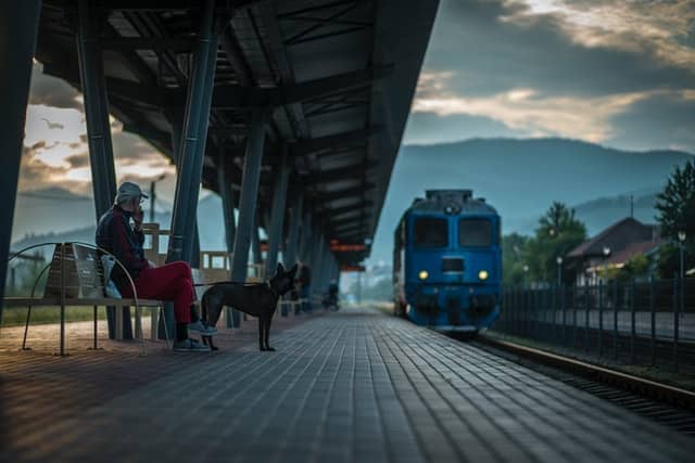 Un homme et son chien à la gare