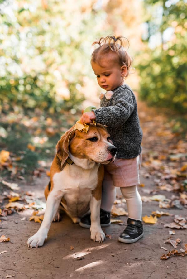 Développement de l'enfant avec chien roux