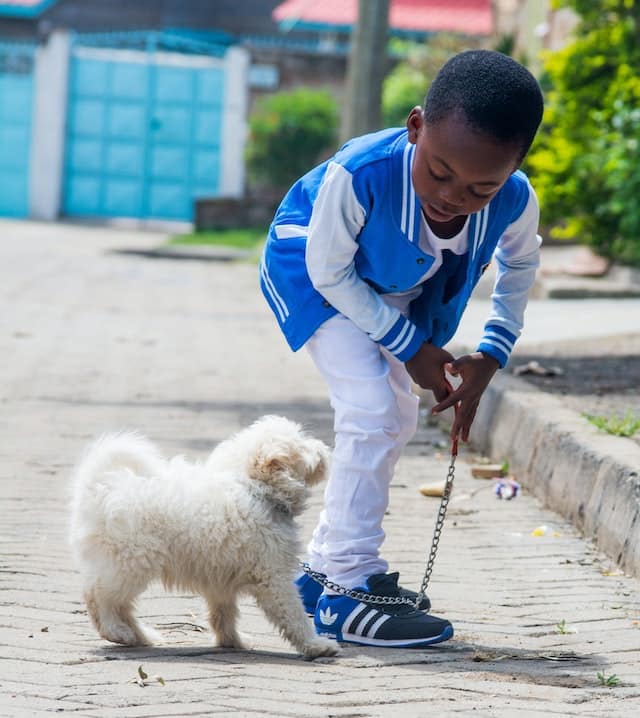 Un enfant promène son chien