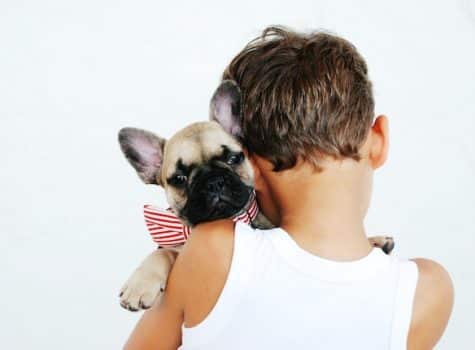 Un enfant tient un chien dans ses bras