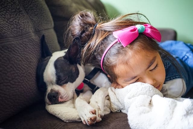 Une fillette dort paisiblement avec son chien