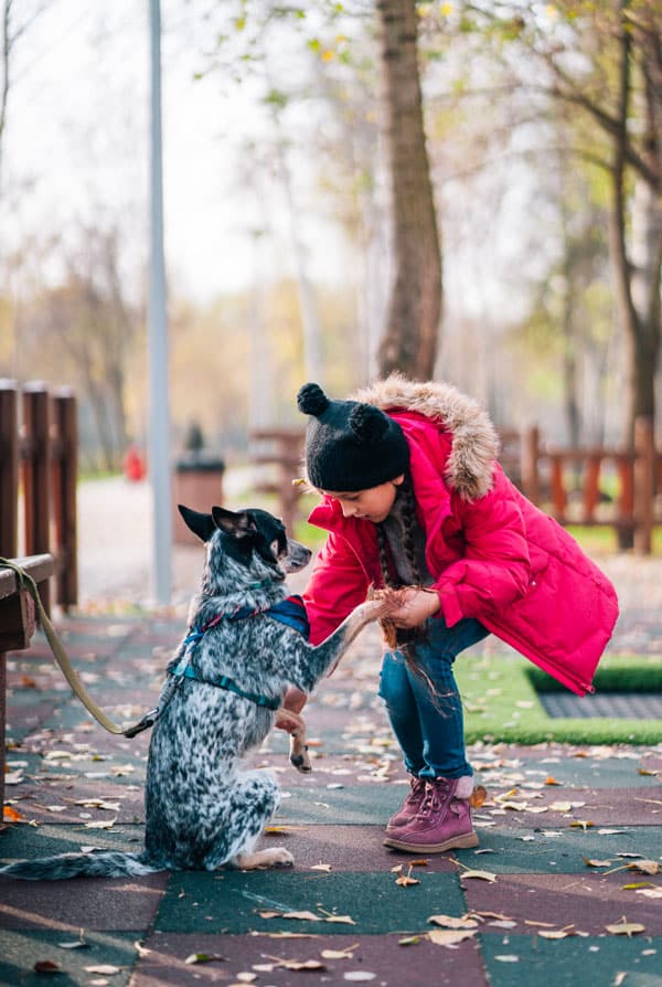 Promenade enfant et chien pour développement