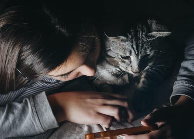 Une enfant avec son chat