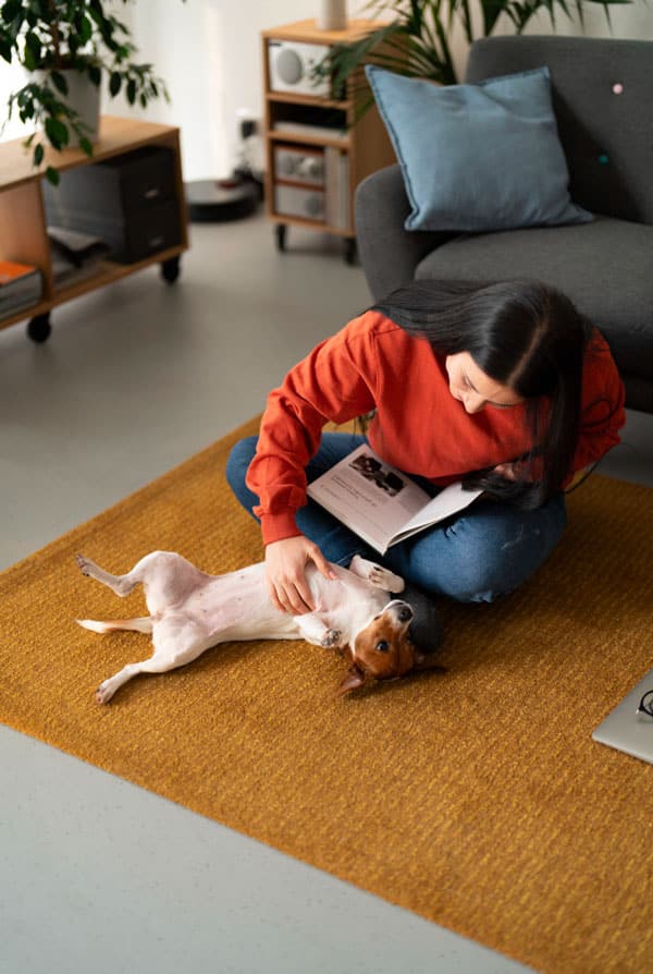 Chien en appartement qui fait un calin avec l'adoptant