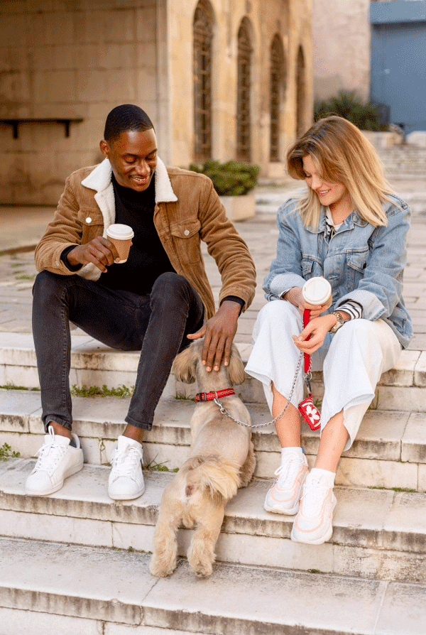 Sortie chien avec jeunes adultes