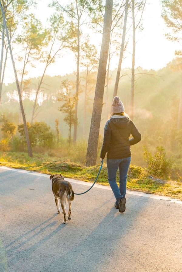 Lors d'une promenade, il faut faire attention aux intoxications