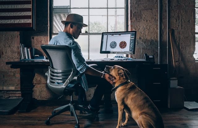 Un homme au travail avec un chien