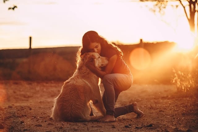 Une femme fait un câlin à un chien golden retriever