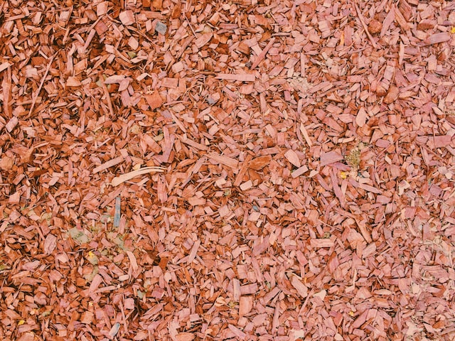 copeaux de bois
