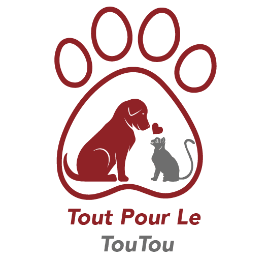 Chien et chat dans une pate de chien