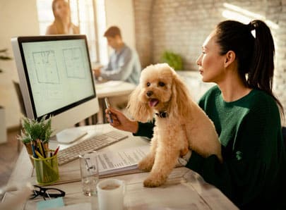 Chien au bureau
