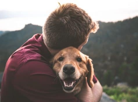 un-chien-et-un-humain-se-font-un-calin