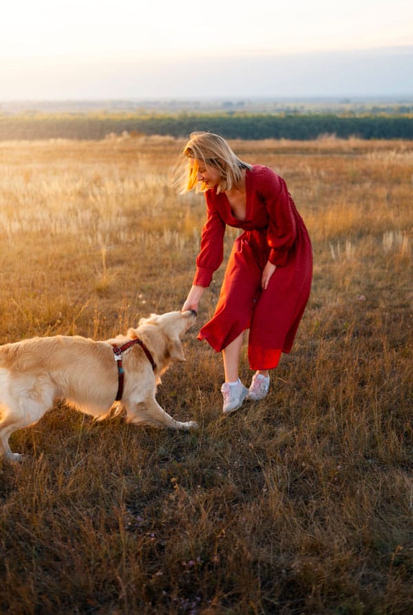 Relation humain et chien heureux et découverte des lieux