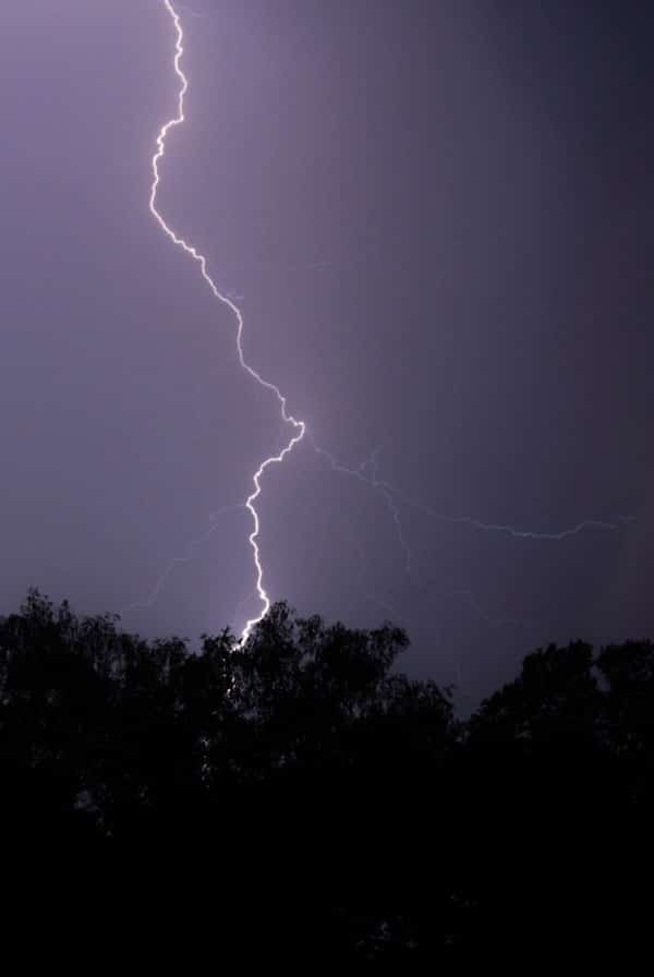 Orage dans le ciel, peur des chiens