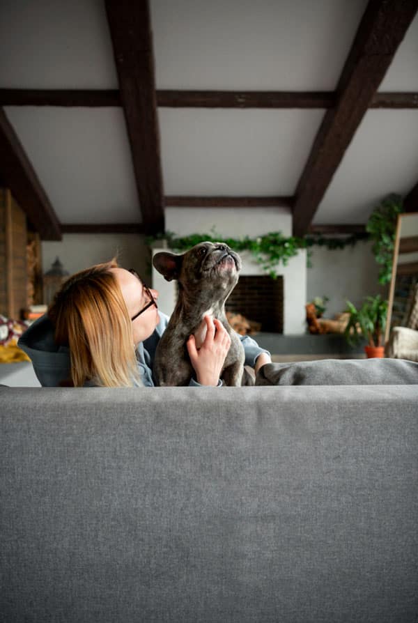 Chien avec son maitre en sécurité