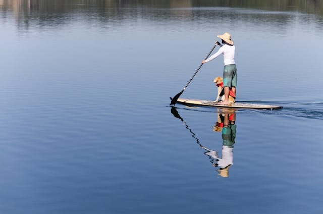 un-chien-et-un-humain-font-du-paddle-sur-un-lac