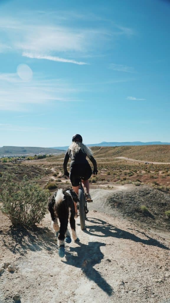 un-chien-se-promene-avec-un-humain-en-vélo