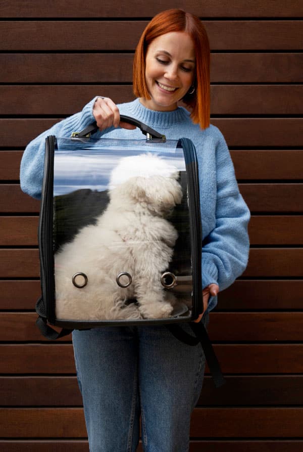 Sac de transport chat accessoires