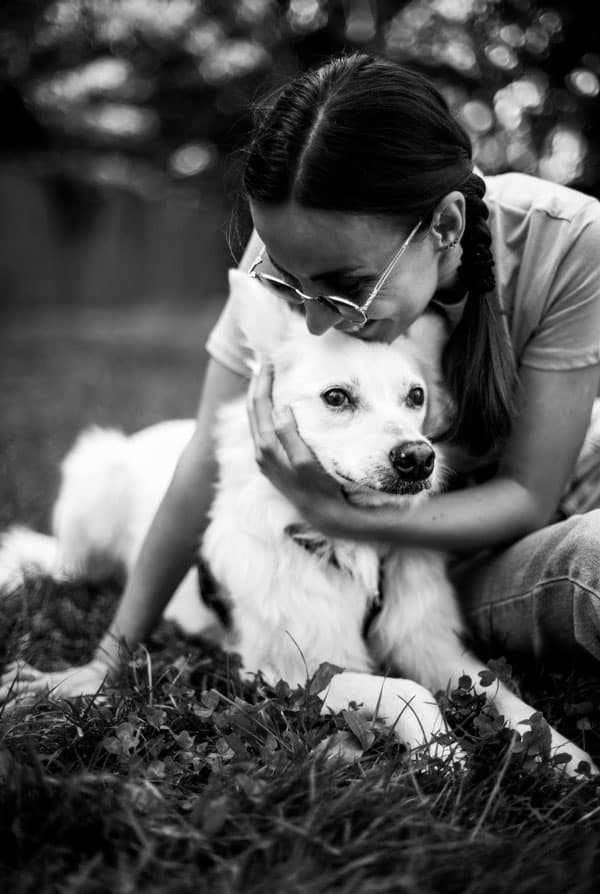 Chien blanc et humain calin