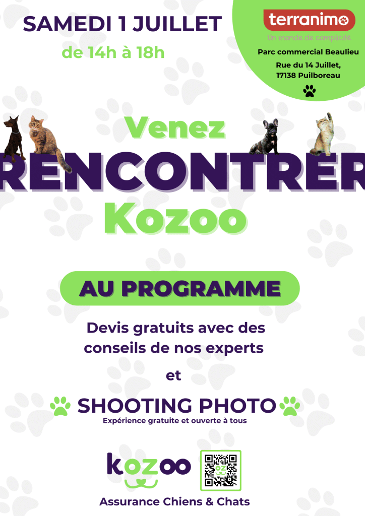 Affiche-évènement-magasin-Terranimo-Puilboreau-samedi-1er-juillet-2023-assurance-chien-chat-kozoo